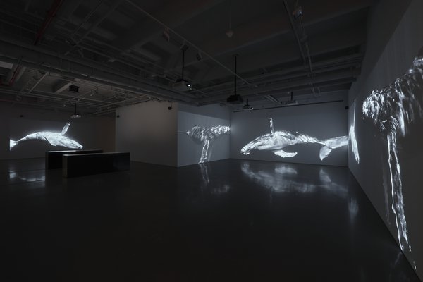 PNC_9243.jpg 20250115_KURIMANZUTTO_PATTI_SMITH_SOUNWALK_INVENTORY_INSTALL_ZH0107.jpg