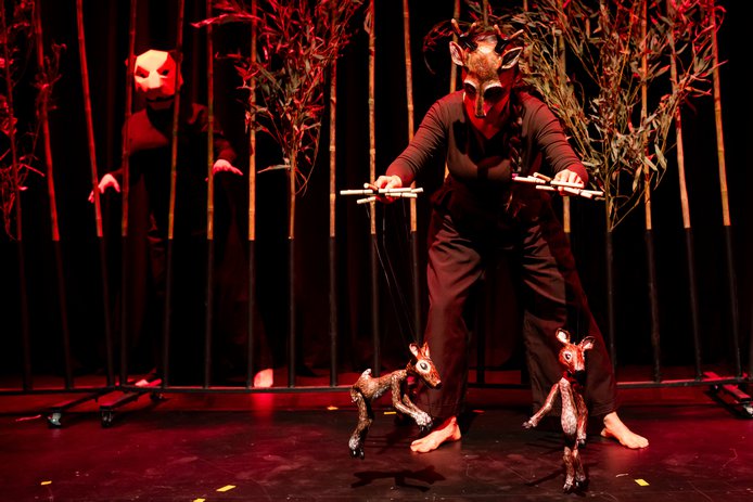 © Nicolás Calderón