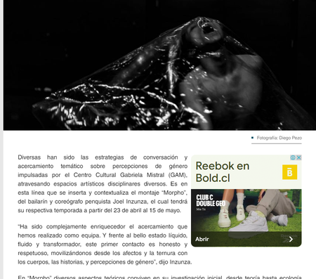 Diario Concepcion_19 Abr.png