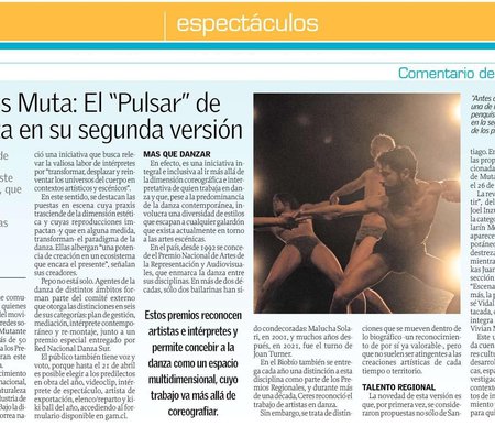 El Sur Concepción_14 abr.jpg