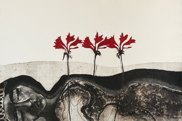 Casa Plan - Ivonne Picco