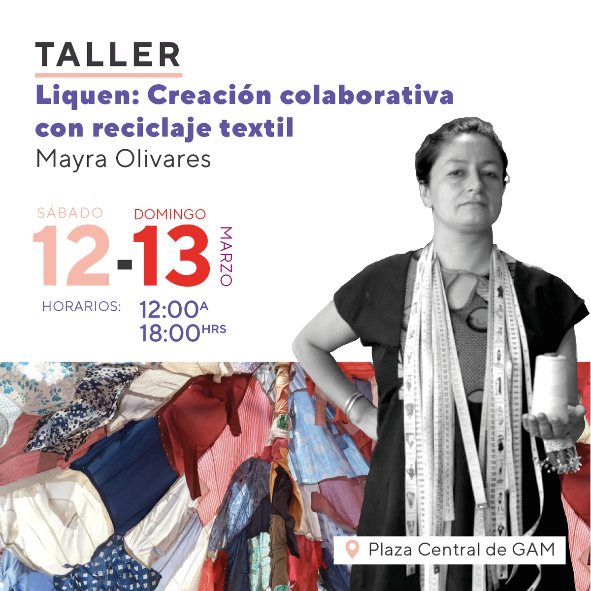 Portadilla Liquen.png