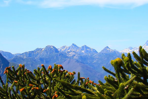  QUE HABLEN LOS RIOS.jpg