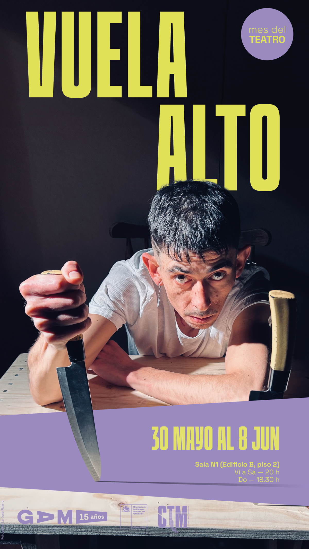 Vuela alto_flyer.png