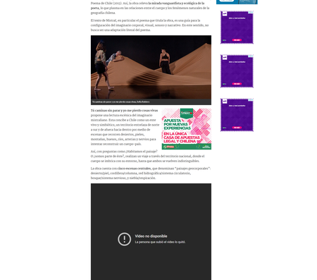 biobio.cl_30 nov.png