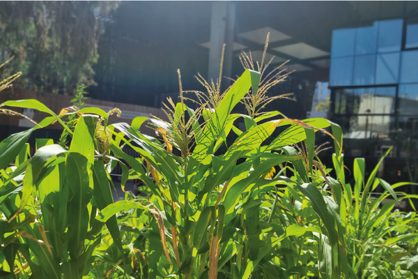 Hueta GAM mobile Hueta GAM mobile