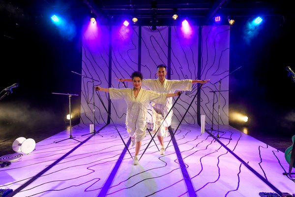  vuelas y vuelos (1).jpeg